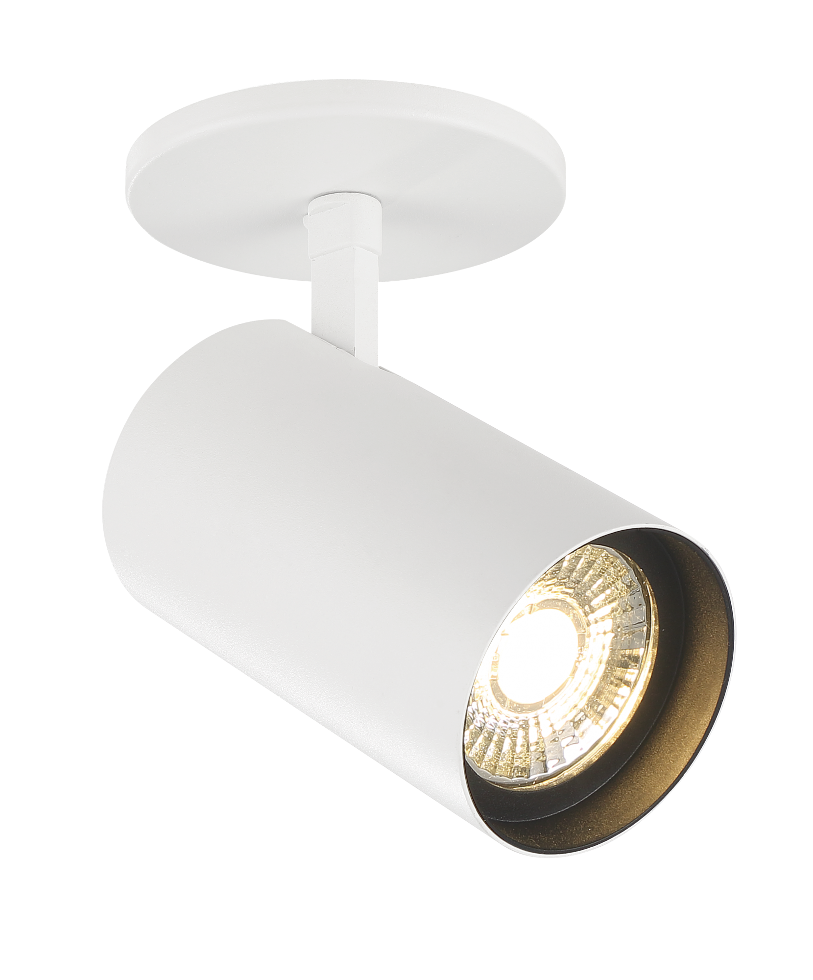 Track Ceiling Mount Fixtures – Eurofase Function